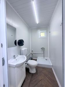a white bathroom with a sink and a toilet at Transfagarasan Moto&Cabin Camp in Văleni