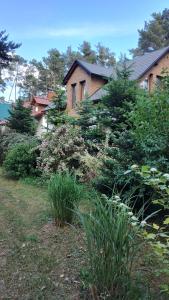 Vonkajšia záhrada v ubytovaní Apartament Nad Jeziorem Brenno