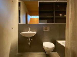 a bathroom with a white toilet and a sink at Haus am Felsen, Ferien in Vorarlberger Architektur in Bregenz