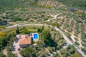 an aerial view of a house with a swimming pool at Cortijo Era del Realenguillo in Villanueva de la Concepción