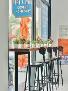 einen Tisch mit vier Stühlen und Topfpflanzen darauf in der Unterkunft Hà Lan Homestay - GrandWorld in Phu Quoc