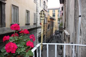 The surrounding neighborhood or a neighborhood close to a panziókat