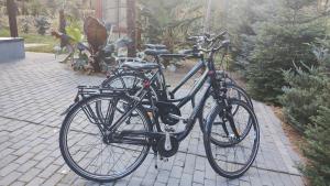 Jazda na bicykli v okolí ubytovania Apartament Nad Jeziorem Brenno