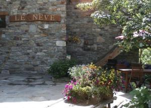 Chalet le Névé外面的花园