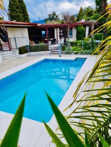 Πισίνα στο ή κοντά στο Little Sydney's Palm Springs