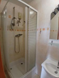 a bathroom with a shower and a sink at Albatros in Mikołajki