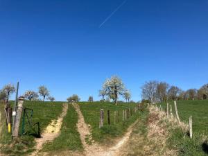 a field with two dirt roads and a fence at B&B Auberge 't Koffer in Eijsden