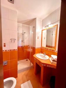 a bathroom with a sink and a shower and a toilet at Ludwig - penzión&reštaurácia in Prešov