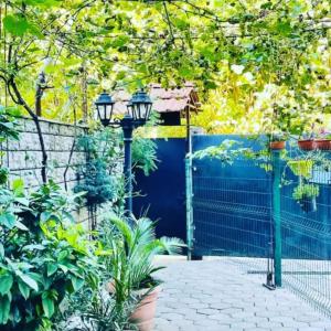 Zahrada ubytování New Batumi