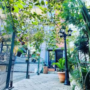 Zahrada ubytování New Batumi