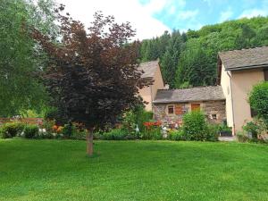 a tree in the yard of a house at "le mas d'hillaire" 2 personnes a saint jean du bleymard in Le Bleymard +17 photos