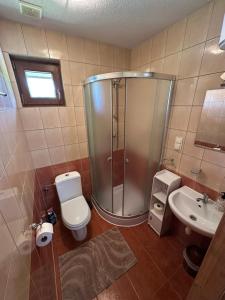 a bathroom with a shower and a toilet and a sink at Domki u Polaka in Uherce Mineralne (7) +13 photos