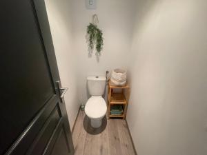 a bathroom with a toilet with a plant on the wall at Bas de villa in Istres +10 photos