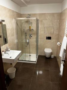 W łazience znajduje się prysznic, umywalka i toaleta. w obiekcie Moser Wellness Apartment Lux w Karlowych Warach