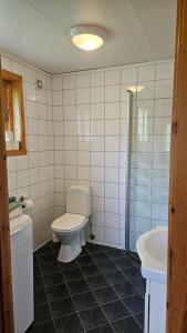 a bathroom with a toilet and a sink at Leilighet v Hardangerfjorden in Hesthamar