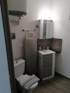 a small bathroom with a toilet and a sink at Le Petit Cosy 2e étage 15 m2 in Niort