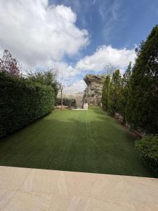 Al ‘AqabahFey Townhouse的大院子,绿草如茵,灌木丛