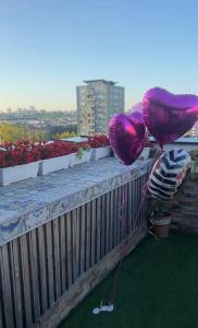 Fotografie z fotogalerie ubytování Penthouse studio Lola New Belgrade v destinaci Novi Beograd