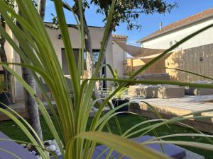 a garden with a wooden table and plants at Le Gite Hector in Carcassonne +17 photos