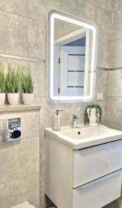 La salle de bains est pourvue d'un lavabo, d'un miroir et de plantes. dans l'établissement Elite Home 1 Jeżyce- Barańczaka 1, à Poznań