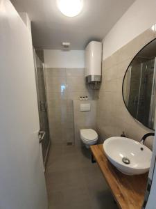 a bathroom with a sink and a toilet and a mirror at Slatki kut in Vis +7 photos