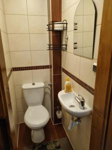 une salle de bain avec toilettes et lavabo dans l'établissement Kwatery u Janka, à Zakopane