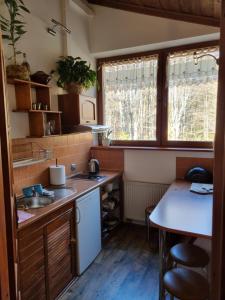 une petite cuisine avec un évier et une table dans l'établissement Kwatery u Janka, à Zakopane