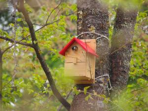 Fotografie z fotogalerie ubytování Koya Backpackers v destinaci Karuizawa