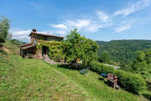 a house on the side of a hill at Fattoria di Pietrabuona in Medicina
