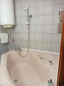 a bath tub with a shower in a bathroom at Apartmani Milica in Kraljevo