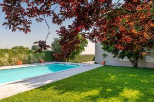 Πισίνα στο ή κοντά στο Rustic Haven Lodge with pool