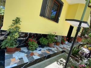 Zahrada ubytování H&A Guest House