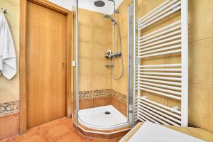 a bathroom with a shower with a toilet at Apartmán Karlstadt in Karlovy Vary +41 photos