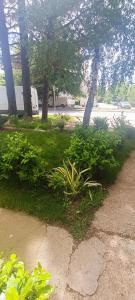 Fotografie z fotogalerie ubytování Ohrid Demarko Apartment v destinaci Ohrid