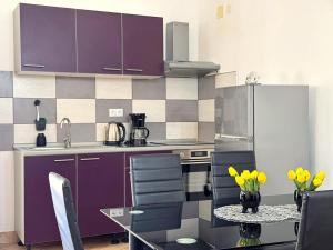 Kuchyňa alebo kuchynka v ubytovaní Top Apartments