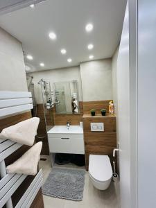 a small bathroom with a toilet and a sink at Alpenblick - klein, aber fein in Schladming +34 photos