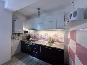 Kuchyň nebo kuchyňský kout v ubytování Louisa Apartament