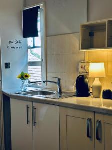 a kitchen counter with a sink and a window at Parkend Room stay in city centre oxford in Oxford