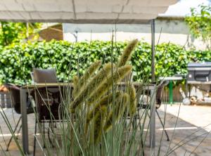 a table and chairs in front of a hedge at Holiday Home Regina in Brodarica