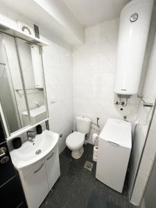 Kupatilo u objektu Penthouse Apartment With View Of Saint Sava Temple +5 fotografija
