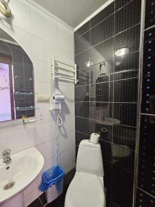 a bathroom with a toilet and a sink at Bella Donna Hotel in Chişinău