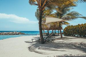 a beach with chairs and palm trees and the ocean at Beach House The Strand in Willemstad