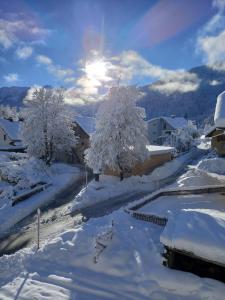 Příroda nedaleko prázdninového domu