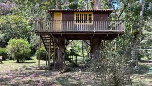 a tree house sitting on top of a tree stump at Casa da Dorinha in Teresópolis