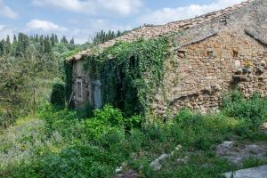 Naturlandskabet i nærheden af feriehuset