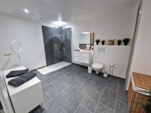 a bathroom with a shower and a toilet and a sink at la chambre 8 in Saint-Martin-du-Var