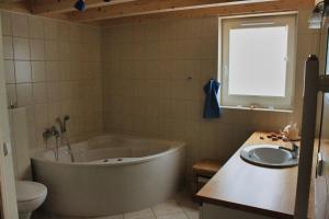 a bathroom with a tub and a toilet and a sink at Feenwald - Baabe in Baabe