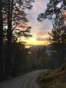 a dirt road with a sunset in the distance at Petersstova in Ålesund