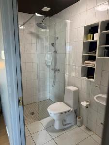 une salle de bain avec une douche avec des toilettes et un lavabo dans l'établissement Freya Farm, à Steinsholt