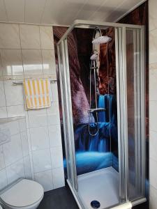 a shower in a bathroom with a toilet at Gästehaus Nietmann Ferienwohnung 9 in Altenau +7 photos